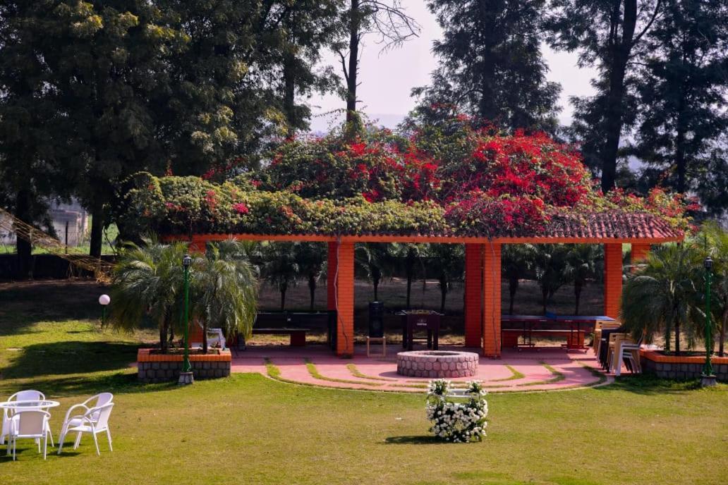 Green Orchid Farms I Swimming Pool I Wedding I Party Villa Gurgaon Bagian luar foto